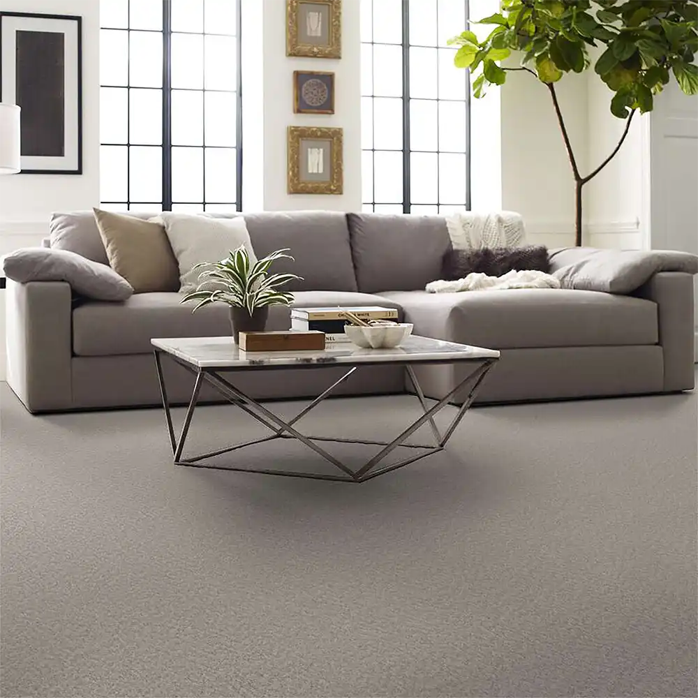 Living room on Alluring Canvas Maltic Stone carpet floors