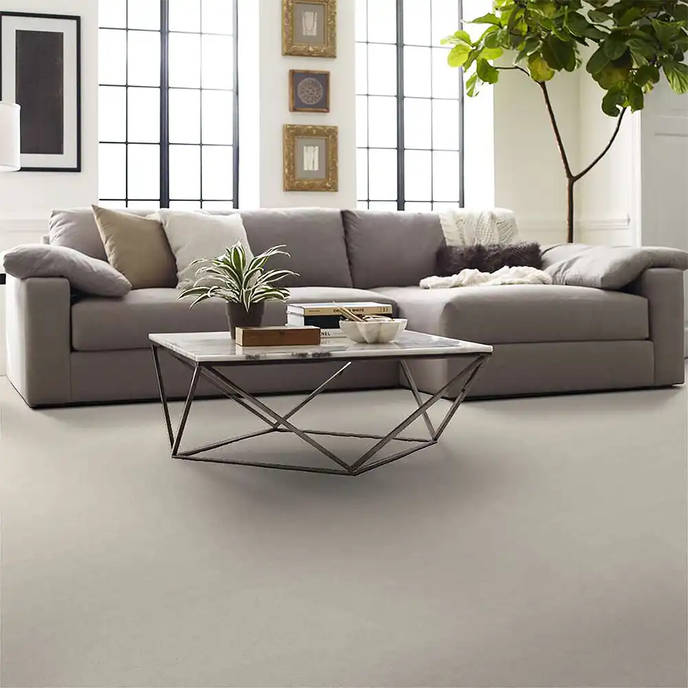 Living room on Attainable Blizzard carpet floors