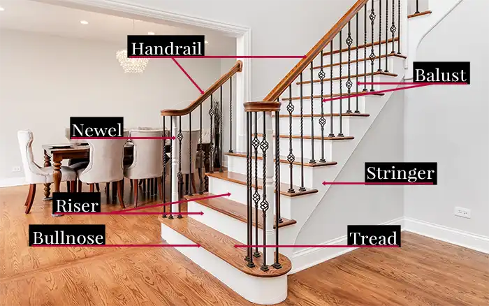 Staircase anatomy with labels